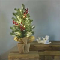 Хвойные украшения Emos DCTW04 фото №2 — интернет-магазин Desire.md