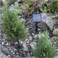 Хвойные украшения Emos DCTW24 фото №6 — интернет-магазин Desire.md