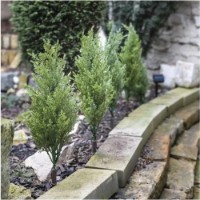 Хвойные украшения Emos DCTW24 фото №2 — интернет-магазин Desire.md