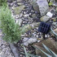 Хвойные украшения Emos DCTW24 фото №3 — интернет-магазин Desire.md