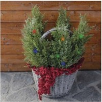 Хвойные украшения Emos DCTW24 фото №5 — интернет-магазин Desire.md