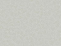 Tapete Parato Estetica 4351