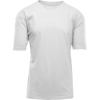 Мужская футболка Brixton PLSTABKTAS