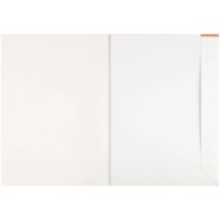 Hârtie de desen liniar BG A3 160g/m2 10pcs imaginea #2 — magazin online Desire.md