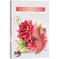 Lumânare Bispol Cactus Flower 6pcs imaginea #3 — magazin online Desire.md