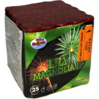 Foc de artificii Enigma Lily Magnolia B (EC2422/25-MIX3)