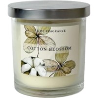 Свеча Home Lights Natura 8x9cm Cotton Blossom (2488G8090-CB)