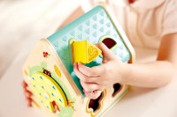 Сортер Hape Critter House (E0515) фото №5 — интернет-магазин Desire.md