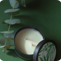 Lumânare Gorgo Eucalyptus CCS152646