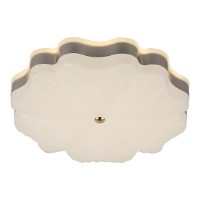 Потолочный светильник GNH 3291400