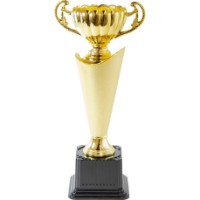 Cupă pentru premiere New World 30cm (TF0149C)