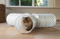 Jucărie pentru pisici Beeztees Leo Cream (705277) imaginea #2 — magazin online Desire.md