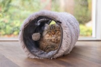 Jucărie pentru pisici Beeztees Nona Grey (704793) imaginea #2 — magazin online Desire.md