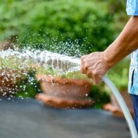 Садовый шланг Profmet 817142 фото №2 — интернет-магазин Desire.md