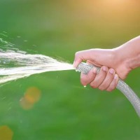 Садовый шланг Profmet 817155 фото №3 — интернет-магазин Desire.md