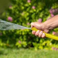 Садовый шланг Profmet 817180 фото №2 — интернет-магазин Desire.md