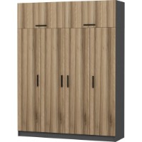 Dulap Trendy Kale 5200 Anthracit/Dore 180x235x52cm GTR004551 imaginea #3 — magazin online Desire.md