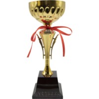 Cupă pentru premiere New World 35cm (912B)