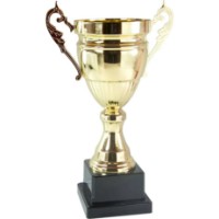 Cupă pentru premiere New World 38cm (2024B)