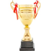 Cupă pentru premiere New World 43cm (2024A)