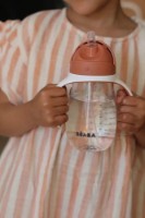 Поильник Beaba 300ml Terracotta (913586) фото №2 — интернет-магазин Desire.md