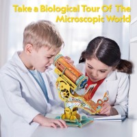 Puzzle 3D-constructor ChiToys Microscope (6944588211271) imaginea #7 — magazin online Desire.md