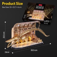 Puzzle 3D-constructor ChiToys Natural Museum Balaenoptera Musculus 222pcs (6944588205454) imaginea #2 — magazin online Desire.md