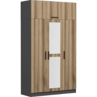 Dulap Trendy Minar 235 Anthracit/Dore 135x235x52cm GTR004985 imaginea #4 — magazin online Desire.md