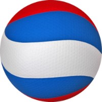 Мяч волейбольный Gala Pro-Line BV5585S фото №4 — интернет-магазин Desire.md