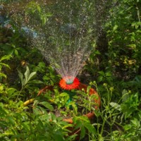 Aspersor Profmet 817536 imaginea #4 — magazin online Desire.md