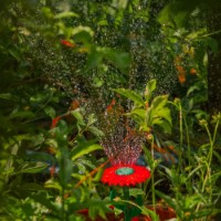 Aspersor Profmet 817536 imaginea #5 — magazin online Desire.md