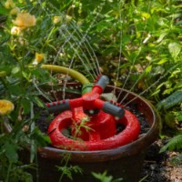 Дождеватель Profmet 817583 фото №4 — интернет-магазин Desire.md