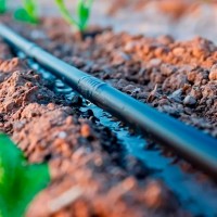 Tub de picurare cu orificii Profmet 817730 imaginea #5 — magazin online Desire.md