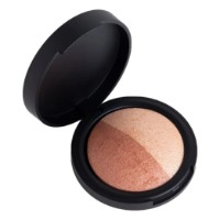 Iluminator Aden Cosmetics 2 in 1 Terracotta Baked Bronzer/Highlighter Duo 