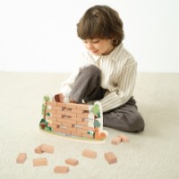 Joc educativ de masa Classic World Squirrel Wall (20258) imaginea #5 — magazin online Desire.md