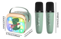 Караоке-колонка Essa Toys Green (6902020433445) фото №2 — интернет-магазин Desire.md