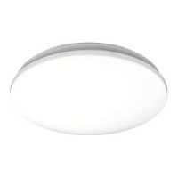 Потолочный светильник Philips Ceiling Light 21W (8720169296046)