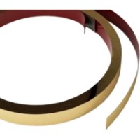 Profil pentru plăci ceramice Eviso Gold PEGO-0150