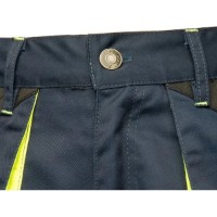 Pantaloni scurți de lucru Brixton PLSTAPKSG54 imaginea #2 — magazin online Desire.md