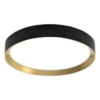 Потолочный светильник Philips Ceiling Light 24W (8720169301351)