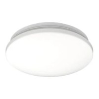 Потолочный светильник Philips Ceiling Lights (8720169296008)
