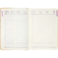 Ежедневник Idee A5 Standart Marigold Orange 2026 (ID.1511) фото №3 — интернет-магазин Desire.md