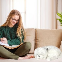 Мягкая игрушка Perfect Petzzz Maltese Puppy (737412996415) фото №2 — интернет-магазин Desire.md