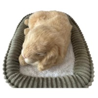 Jucărie de pluș Perfect Petzzz Minilop Rabbit (737412999225) imaginea #3 — magazin online Desire.md