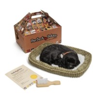Мягкая игрушка Perfect Petzzz Black Labrador Puppy (737412996323) фото №2 — интернет-магазин Desire.md