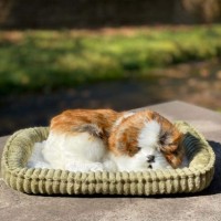 Jucărie de pluș Perfect Petzzz Shih Tzu Puppy (737412996293) imaginea #4 — magazin online Desire.md