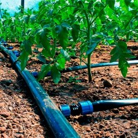 Bandă pentru irigare prin picurare Profmet 817750 imaginea #4 — magazin online Desire.md