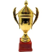 Cupă pentru premiere Sport 33cm (243-1238)