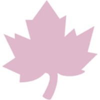 Perforator DPCraft Maple Leaf 1.6cm (JCDZ-105-022) imaginea #2 — magazin online Desire.md