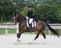 Jachetă de călărie QHP Novèn 40 Black (8433) imaginea #7 — magazin online Desire.md